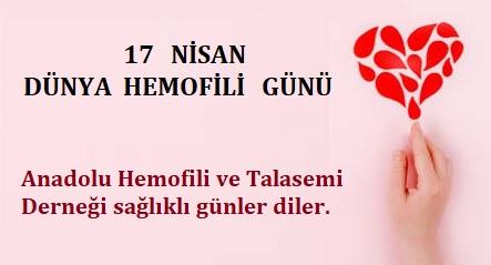 17 NİSAN DÜNYA HEMOFİLİ  GÜNÜ KUTLU OLSUN